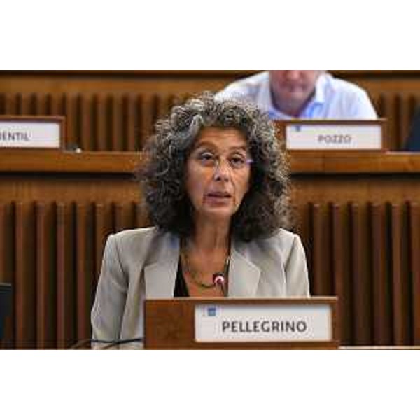 Serena Pellegrino (Avs) - Serena Pellegrino (Avs)