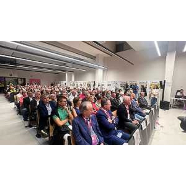 La platea di Palazzo Fantoni a Gemona del Friuli - La platea di Palazzo Fantoni a Gemona del Friuli