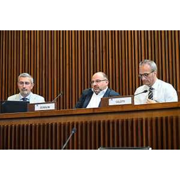 Andrea Carli, Diego Moretti e Francesco Russo (Pd) - Andrea Carli, Diego Moretti e Francesco Russo (Pd)