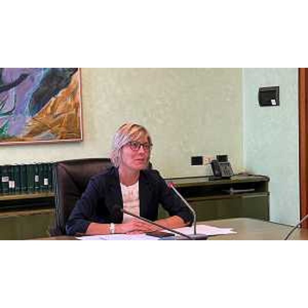 L'assessore regionale Barbara Zilli in collegamento con Palazzo Maseri a Udine per la presentazione di Collega-menti - L'assessore regionale Barbara Zilli in collegamento con Palazzo Maseri a Udine per la presentazione di Collega-menti