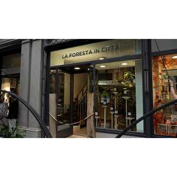 L'ingresso dello spazio urbano dedicato alla foresta regionale in via Muratti, nel centro di Trieste - L'ingresso dello spazio urbano dedicato alla foresta regionale in via Muratti, nel centro di Trieste