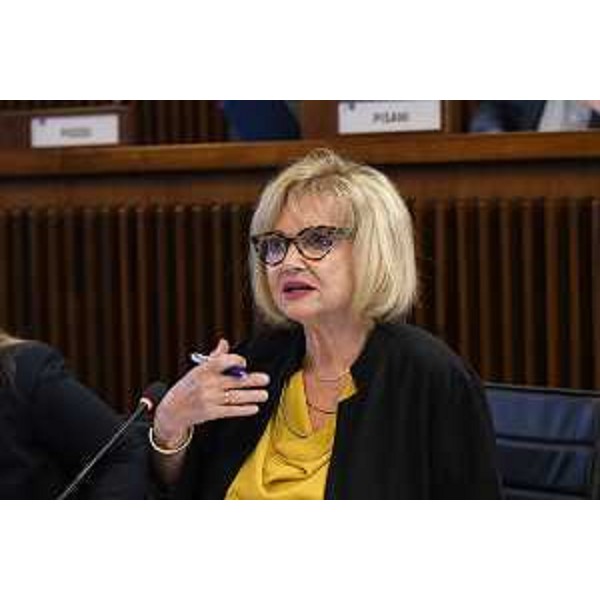 Laura Fasiolo (Pd) - Laura Fasiolo (Pd)