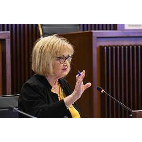 Laura Fasiolo (Pd) - Laura Fasiolo (Pd)