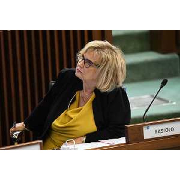 Laura Fasiolo (Pd) - Laura Fasiolo (Pd)