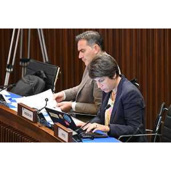 Massimo Moretuzzo e Giulia Massolino (Patto per l'Autonomia-Civica Fvg) - Massimo Moretuzzo e Giulia Massolino (Patto per l'Autonomia-Civica Fvg)