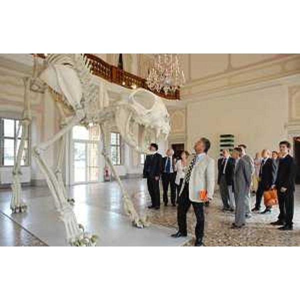 Illy (Presidente Friuli Venezia Giulia) e la Giunta visitano la mostra "love/hate" in occasione della riunione giuntale a Villa Manin di Passariano. (Villa Manin 11/06/04)