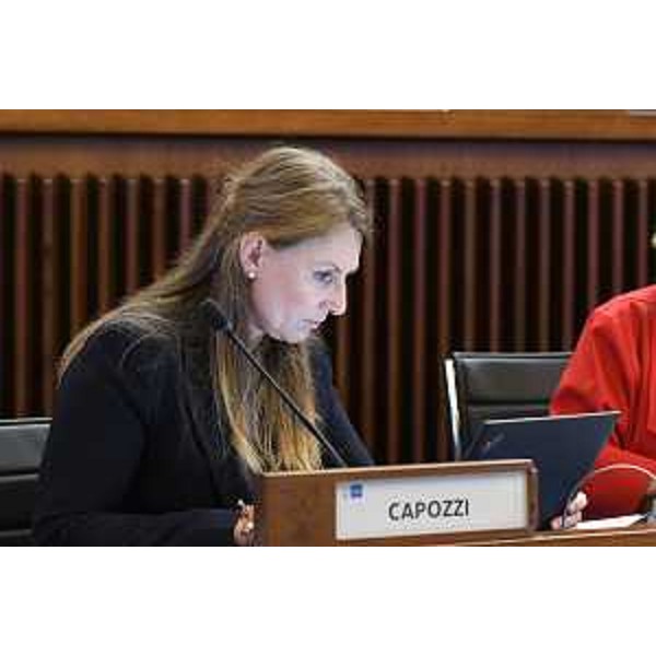 Rosaria Capozzi (M5s) - Rosaria Capozzi (M5s)