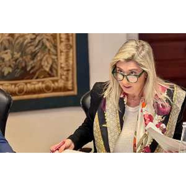 L'assessore regionale alle Infrastutture Cristina Amirante durante la riunione di giunta - L'assessore regionale alle Infrastutture Cristina Amirante durante la riunione di giunta