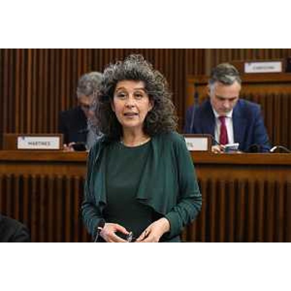 Serena Pellegrino (Avs) - Serena Pellegrino (Avs)