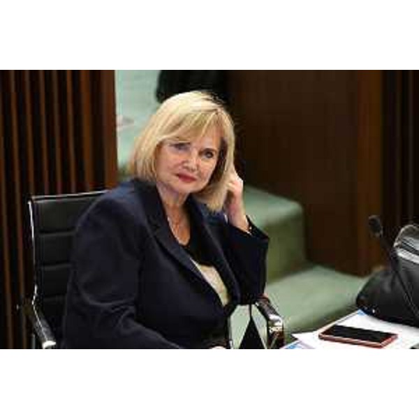 Laura Fasiolo (Pd) - Laura Fasiolo (Pd)