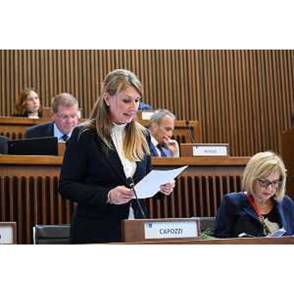 Rosario Capozzi (M5S) - Rosario Capozzi (M5S)