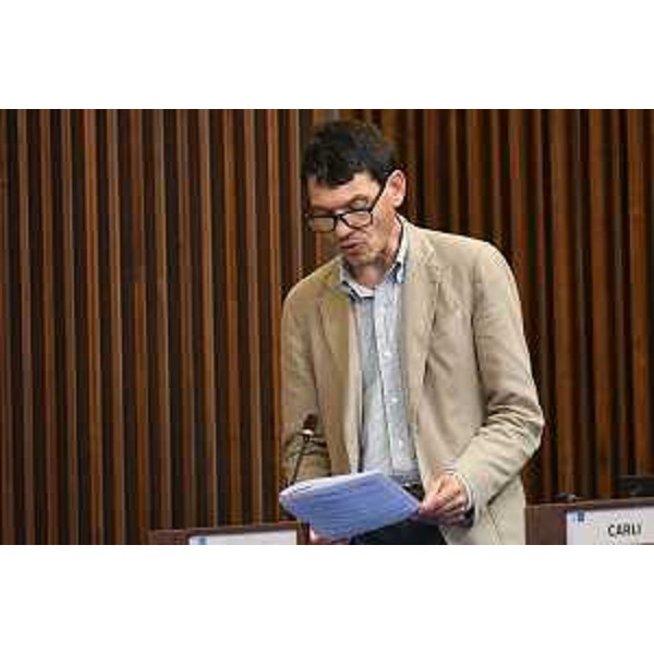 Nicola Conficoni (Pd) - Nicola Conficoni (Pd)