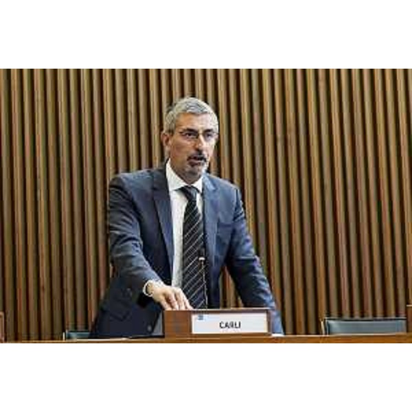 Andrea Carli (Pd) - Andrea Carli (Pd)