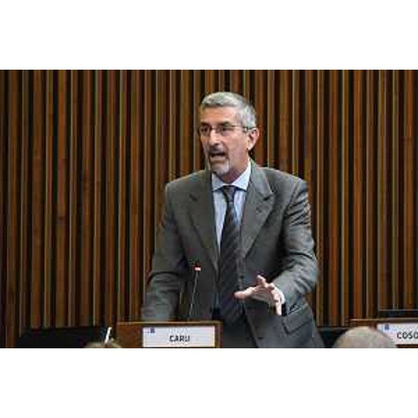 Andrea Carli (Pd) - Andrea Carli (Pd)