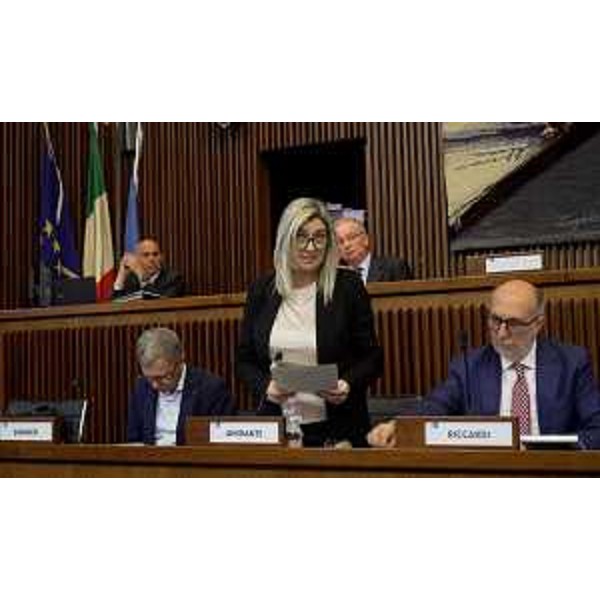 L'assessore alle Infrastrutture e Territorio Cristina Amirante. - L'assessore alle Infrastrutture e Territorio Cristina Amirante.