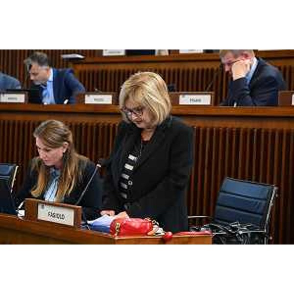 Laura Fasiolo (Pd) - Laura Fasiolo (Pd)