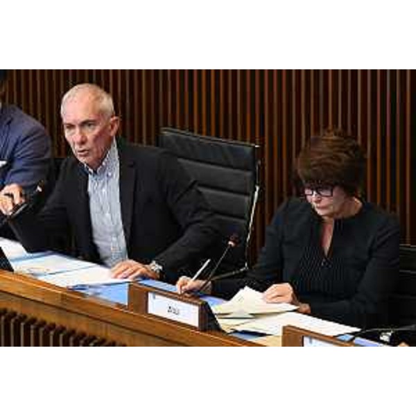 Roberto Novelli (FI), presidente della VI Commissione, accanto all'assessore regionale Alessia Rosolen - Roberto Novelli (FI), presidente della VI Commissione, accanto all'assessore regionale Alessia Rosolen