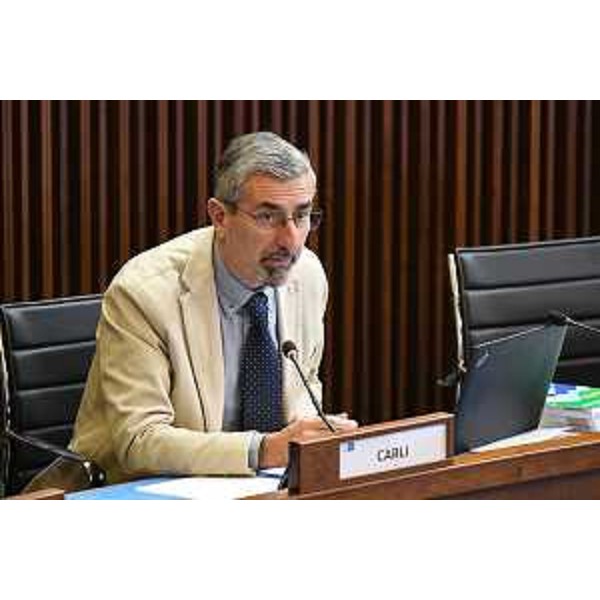 Andrea Carli (Pd) - Andrea Carli (Pd)