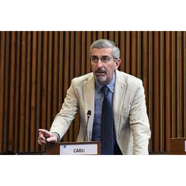 Andrea Carli (Pd) - Andrea Carli (Pd)