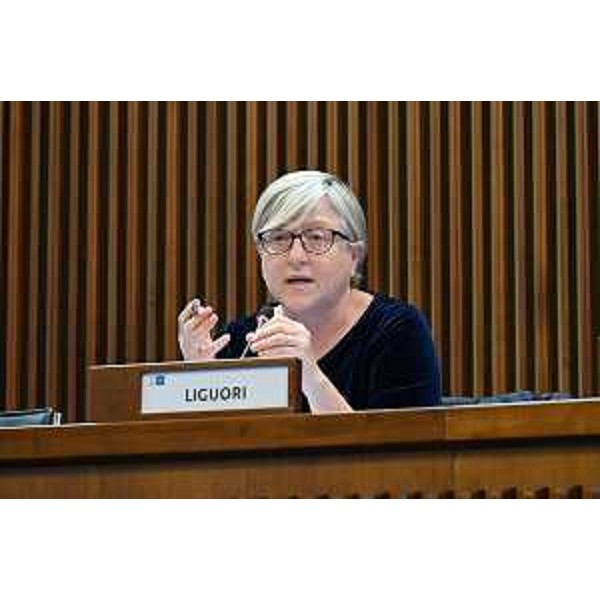 Simona Liguori (Patto-Civica Fvg) - Simona Liguori (Patto-Civica Fvg)