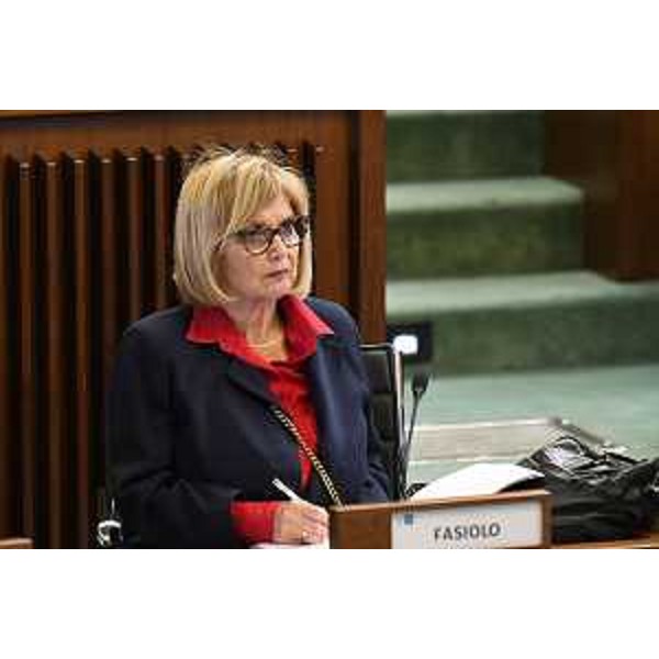 Laura Fasiolo (Pd) - Laura Fasiolo (Pd)