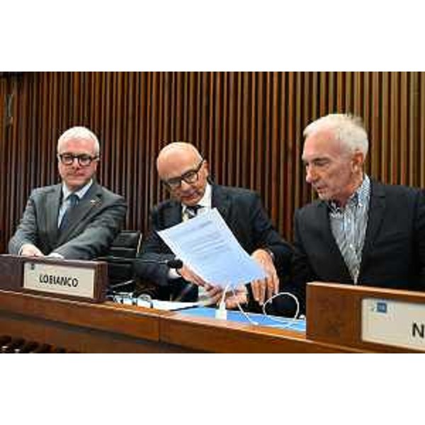 I consiglieri di Forza Italia - I consiglieri di Forza Italia