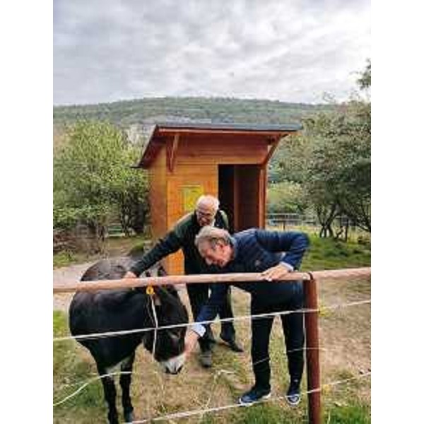 L'assessore regionale Fabio Scoccimarro accarezza la giumenta Nina - L'assessore regionale Fabio Scoccimarro accarezza la giumenta Nina