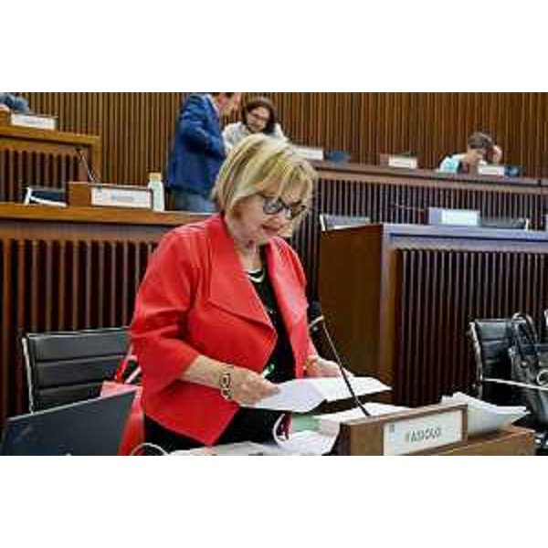 Laura Fasiolo (Pd) - Laura Fasiolo (Pd)