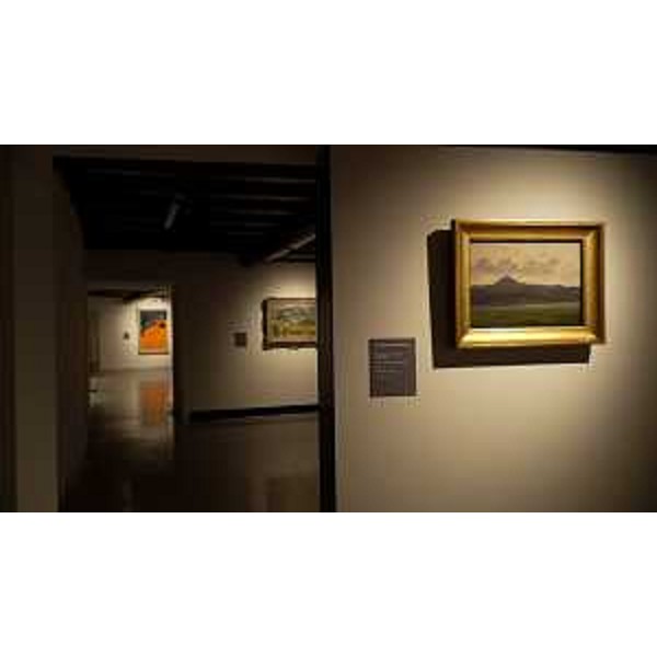 Alcune delle opere che compongono la mostra "Confini. Da Gauguin a Hopper", allestita a Villa Manin di Passariano. - Alcune delle opere che compongono la mostra "Confini. Da Gauguin a Hopper", allestita a Villa Manin di Passariano.