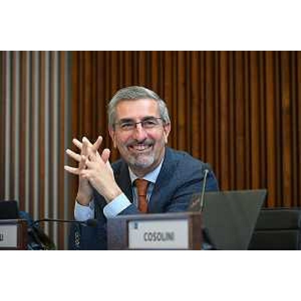 Andrea Carli (Pd) - Andrea Carli (Pd)