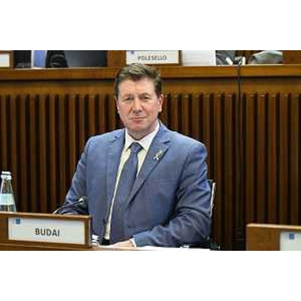 Alberto Budai (Lega) - Alberto Budai (Lega)