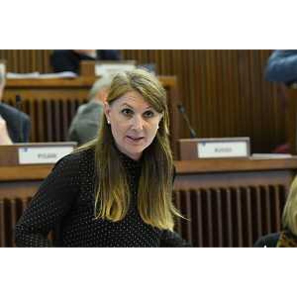 Rosaria Capozzi (M5S) - Rosaria Capozzi (M5S)