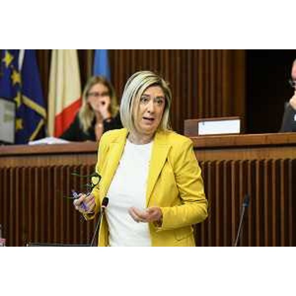 Cristina Amirante, assessore alle Infrastrutture - Cristina Amirante, assessore alle Infrastrutture