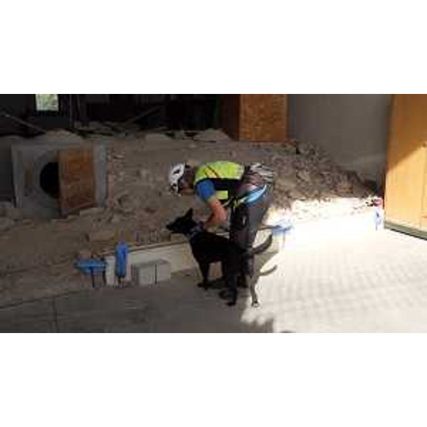 Un momento della dimostrazione - Un momento della dimostrazione