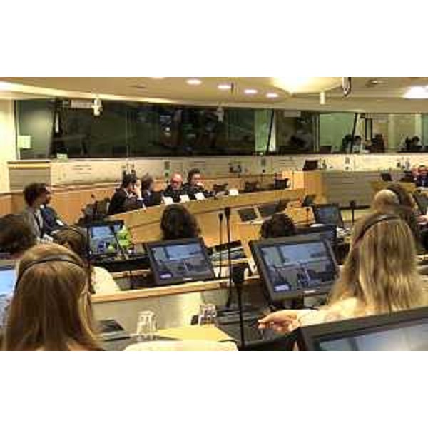 Il panel del Comitato delle Regioni - Il panel del Comitato delle Regioni