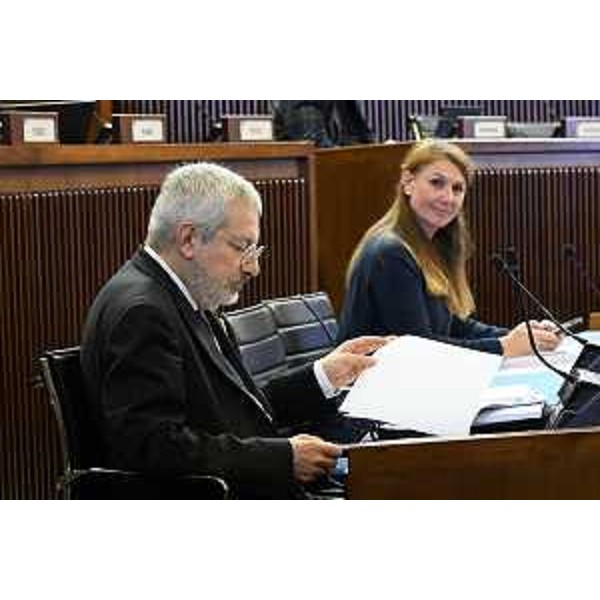 Furio Honsell (Open Sinistra Fvg) e Rosaria Capozzi (M5S) - Furio Honsell (Open Sinistra Fvg) e Rosaria Capozzi (M5S)