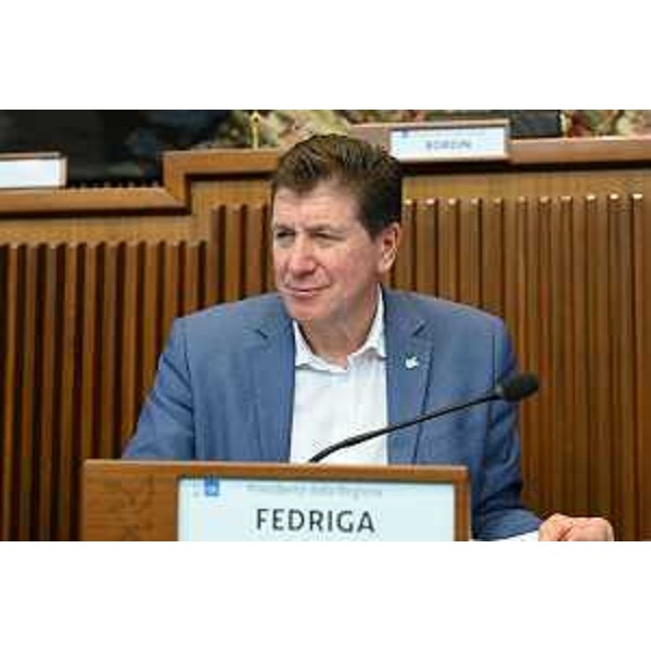 Il presidente della IV Commissione, Alberto Budai (Lega) - Il presidente della IV Commissione, Alberto Budai (Lega)