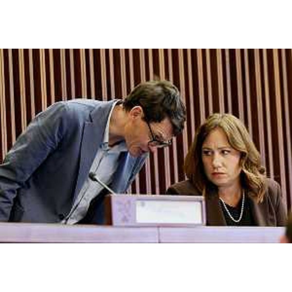 Nicola Conficoni e Manuela Celotti (Pd) - Nicola Conficoni e Manuela Celotti (Pd)