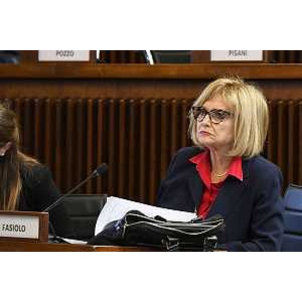 Laura Fasiolo (Pd) - Laura Fasiolo (Pd)