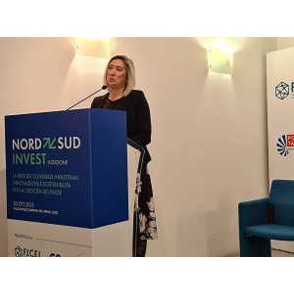 L'assessore regionale Cristina Amirante intervenuta alla terza edizione dell'evento "Nord Sud - Invest. La rete dei Consorzi industriali: innovazione e sostenibilità per la crescita del Paese", - L'assessore regionale Cristina Amirante intervenuta alla terza edizione dell'evento "Nord Sud - Invest. La rete dei Consorzi industriali: innovazione e sostenibilità per la crescita del Paese",