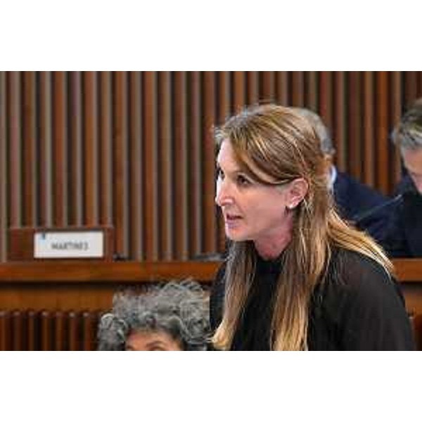 Rosaria Capozzi (M5S) - Rosaria Capozzi (M5S)