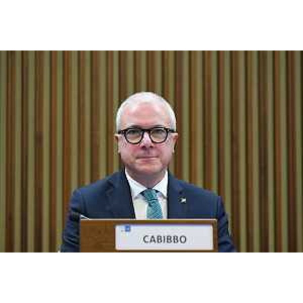 Andrea Cabibbo (FI) - Andrea Cabibbo (FI)