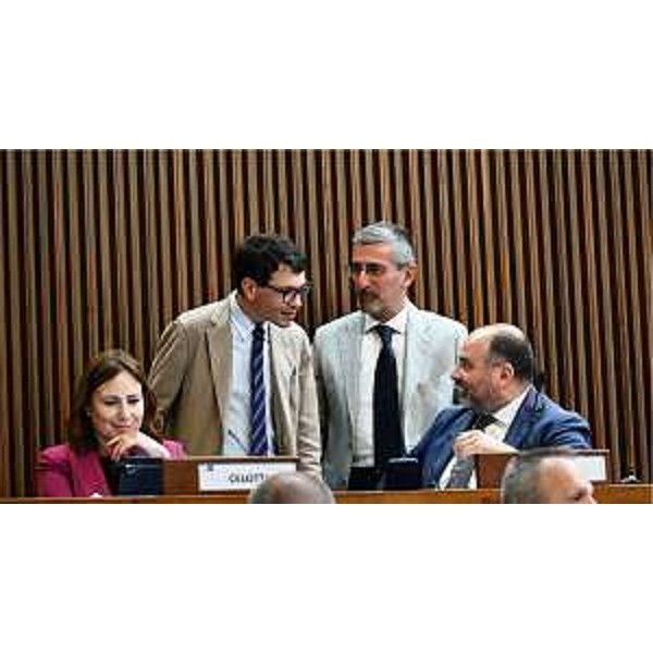 Manuela Celotti e Nicola Conficoni con i colleghi Andrea Carli e Diego Moretti (Pd) - Manuela Celotti e Nicola Conficoni con i colleghi Andrea Carli e Diego Moretti (Pd)