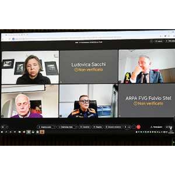 Alcuni degli auditi in videocollegamento - Alcuni degli auditi in videocollegamento