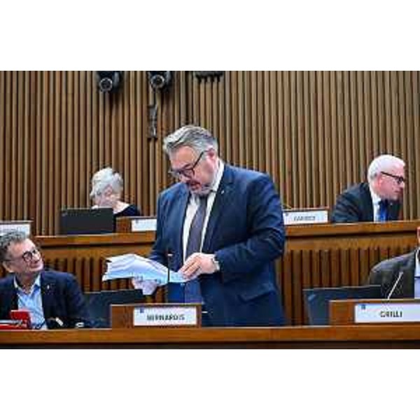 Diego Bernardis (Fedriga presidente) - Diego Bernardis (Fedriga presidente)