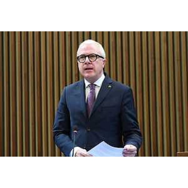 Andrea Cabibbo, capogruppo di Forza Italia - Andrea Cabibbo, capogruppo di Forza Italia