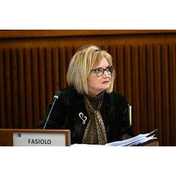 Laura Fasiolo (Pd) - Laura Fasiolo (Pd)