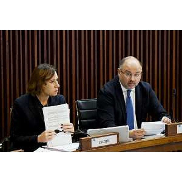 Manuela Celotti e Diego Moretti (Pd) - Manuela Celotti e Diego Moretti (Pd)