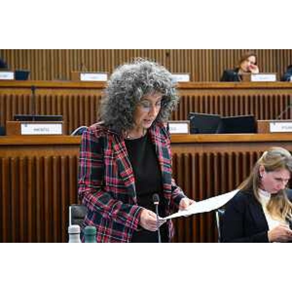 Serena Pellegrino (Avs) - Serena Pellegrino (Avs)