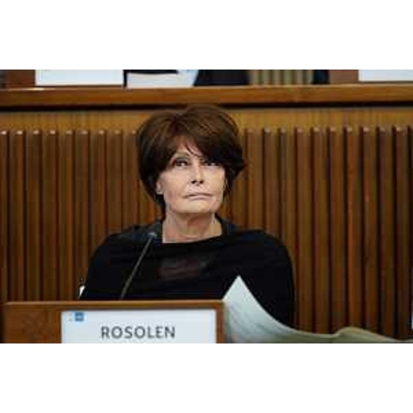 L'assessore Alessia Rosolen durante la seduta odierna di Consiglio regionale - L'assessore Alessia Rosolen durante la seduta odierna di Consiglio regionale